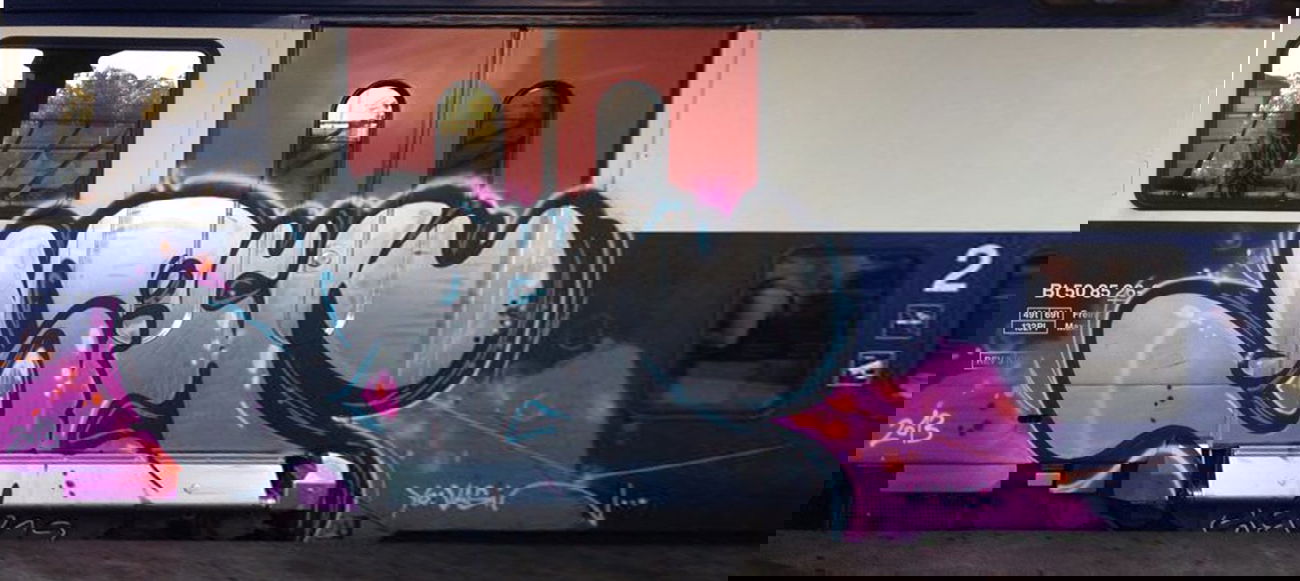 Graffiti Train in Zurich - Photo by Lindenbaum - Sier (2013)