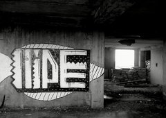 Photo #120518 by TagHagel