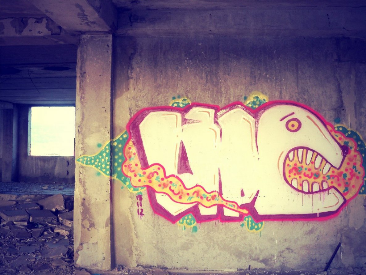 Graffiti Bombing - Photo by Lipa (2012)