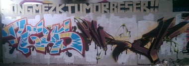 Graffiti Wall - Photo by LiquidX - reus, tref, ong (2014)