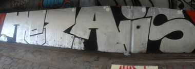 Graffiti Bombing - Photo by Litza - HezAis