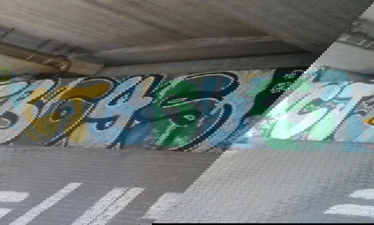 Graffiti Train - Photo by Litza - CTB