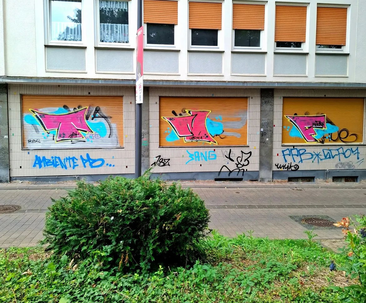 Graffiti Bombing in Paderborn  - Photo by Lkwpeter - Tnf, Choe (2025)