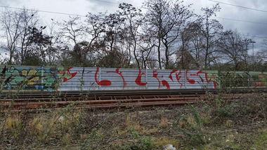 Graffiti Bombing in Bonn - Photo by Lokalpatriot (2016)