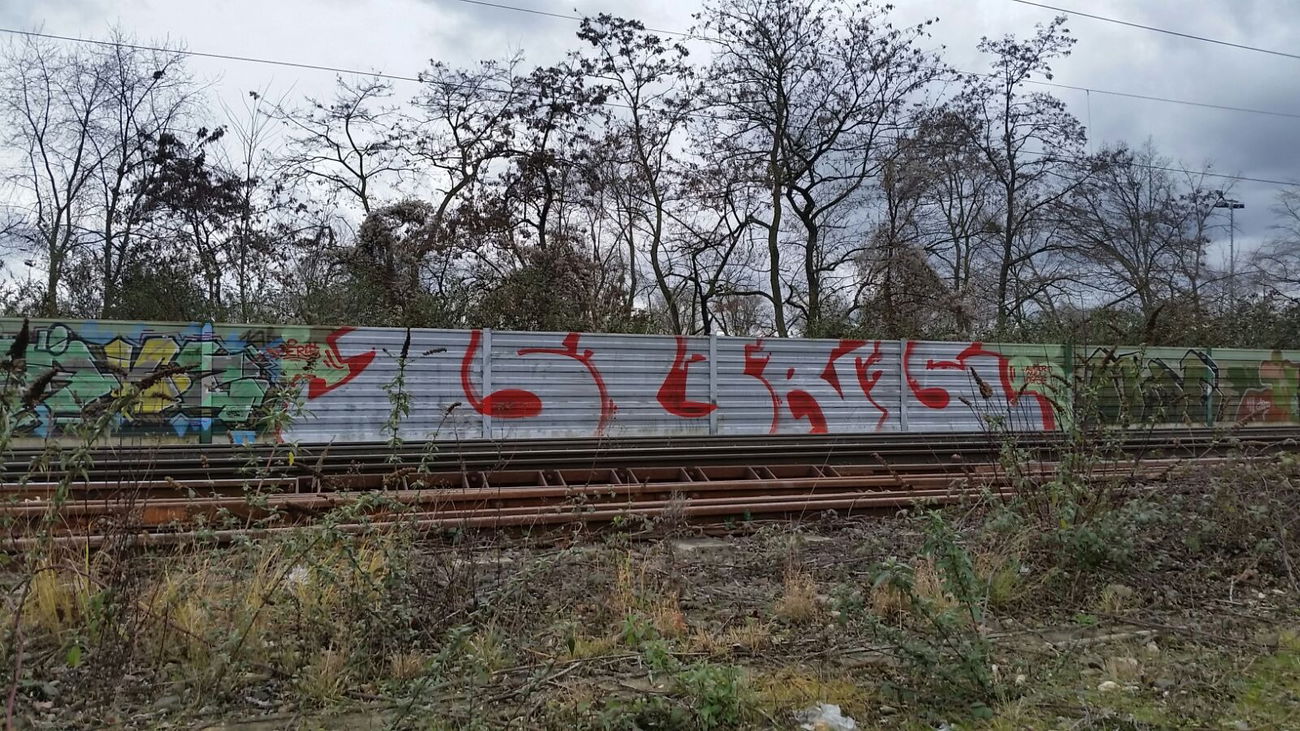 Graffiti Bombing in Bonn - Photo by Lokalpatriot (2016)