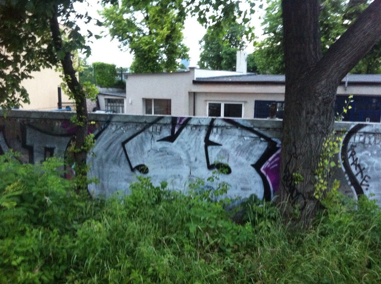Graffiti Bombing - Photo by Lokalpatriot - Warsaw, 53ers, Amir (2015)