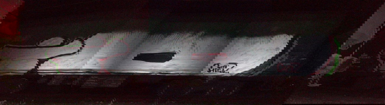 Graffiti Train - Photo by LosPicos - io