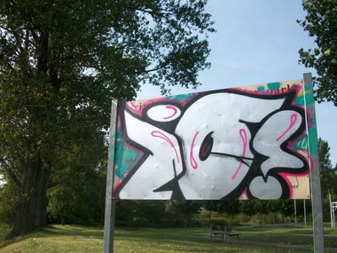 Graffiti Bombing - Photo by LosPicos - io