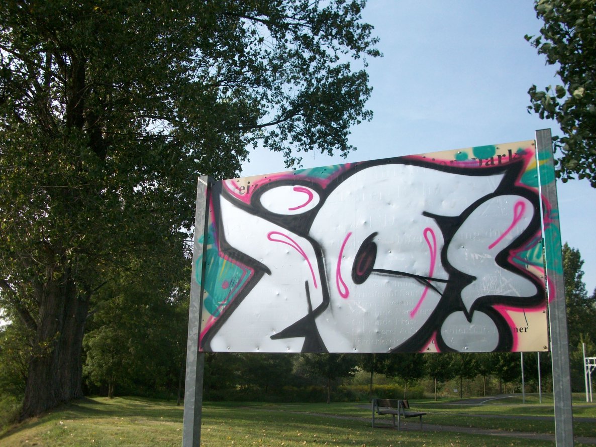 Graffiti Bombing - Photo by LosPicos - io