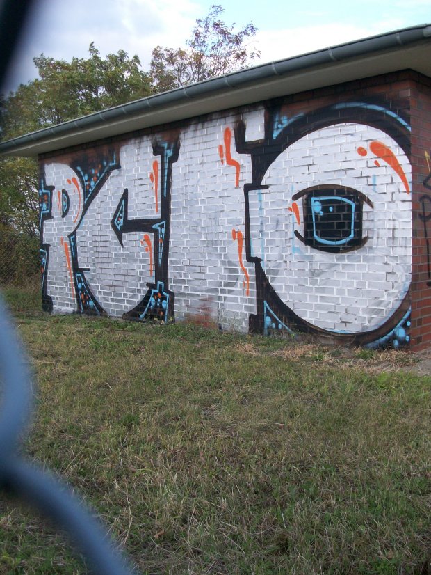 Graffiti Bombing - Photo by LosPicos - pc, io