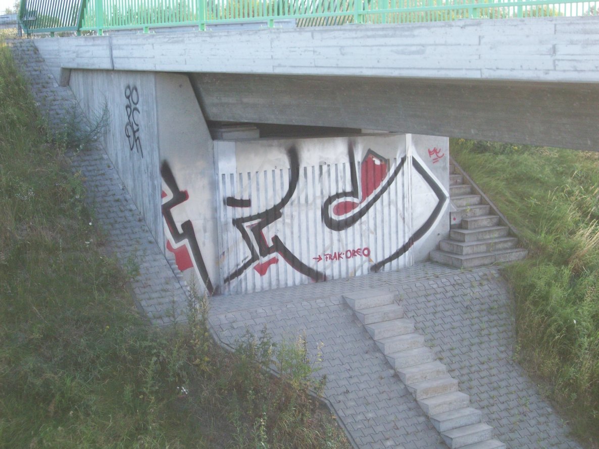 Graffiti Bombing - Photo by LosPicos - pc
