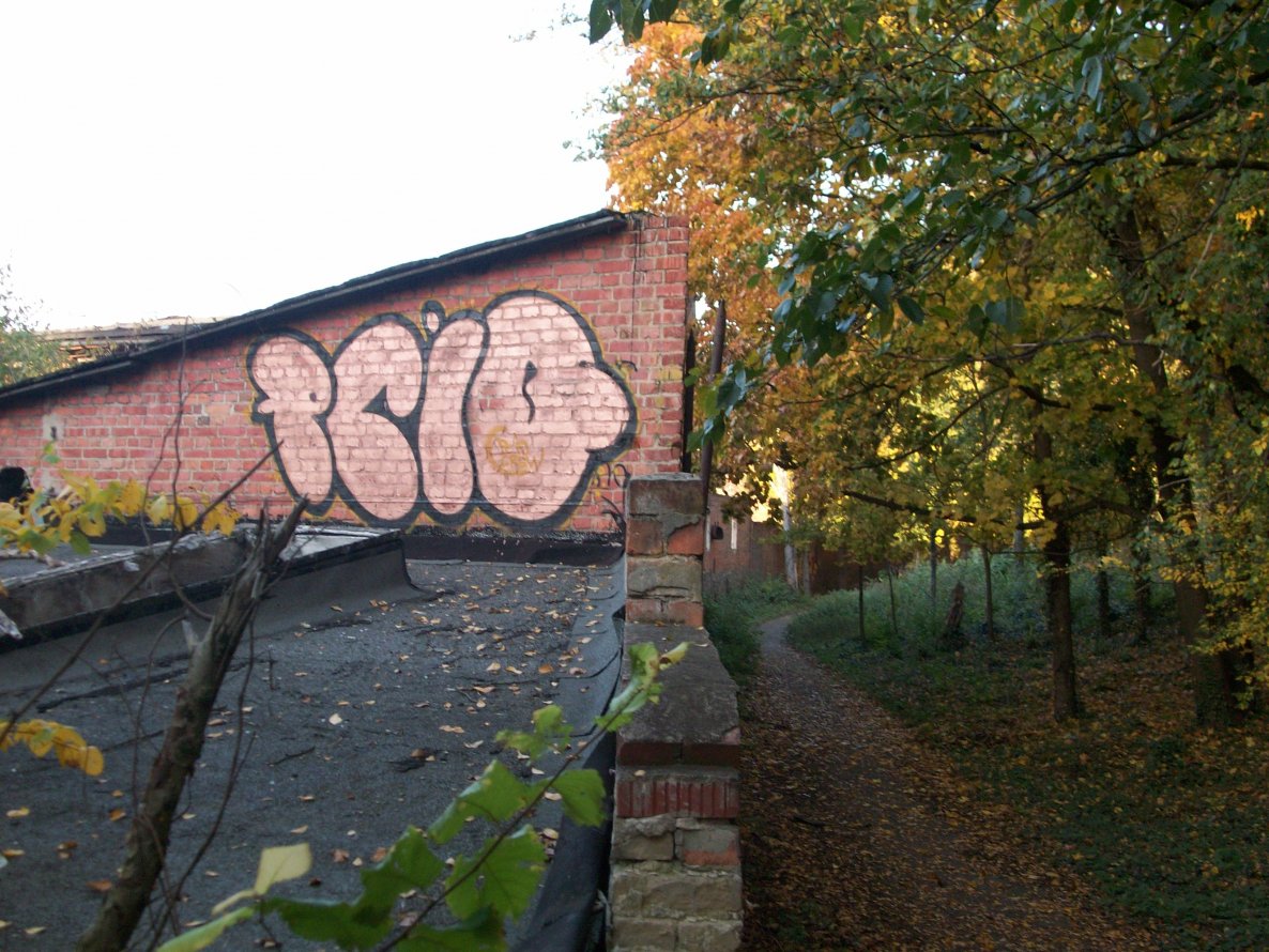 Graffiti Bombing - Photo by LosPicos - pc, io