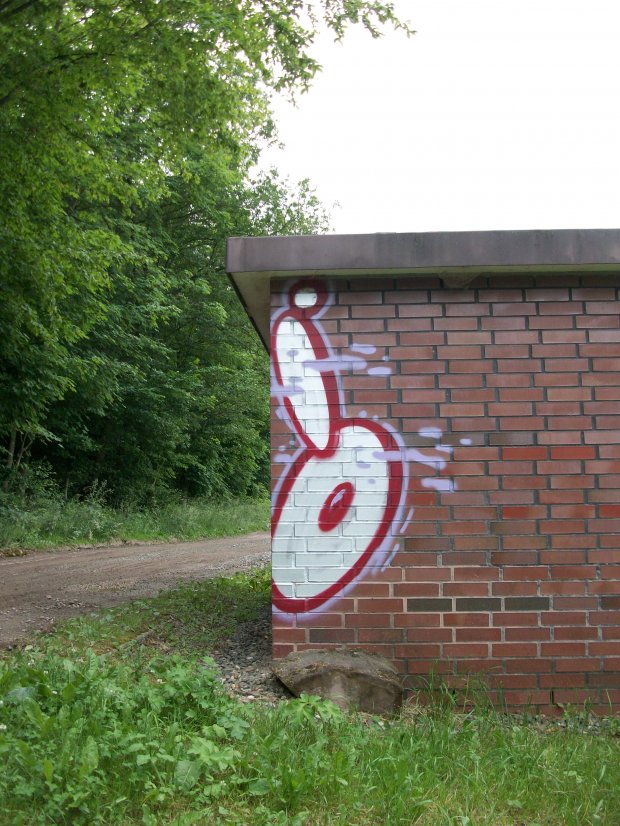 Graffiti Bombing - Photo by LosPicos