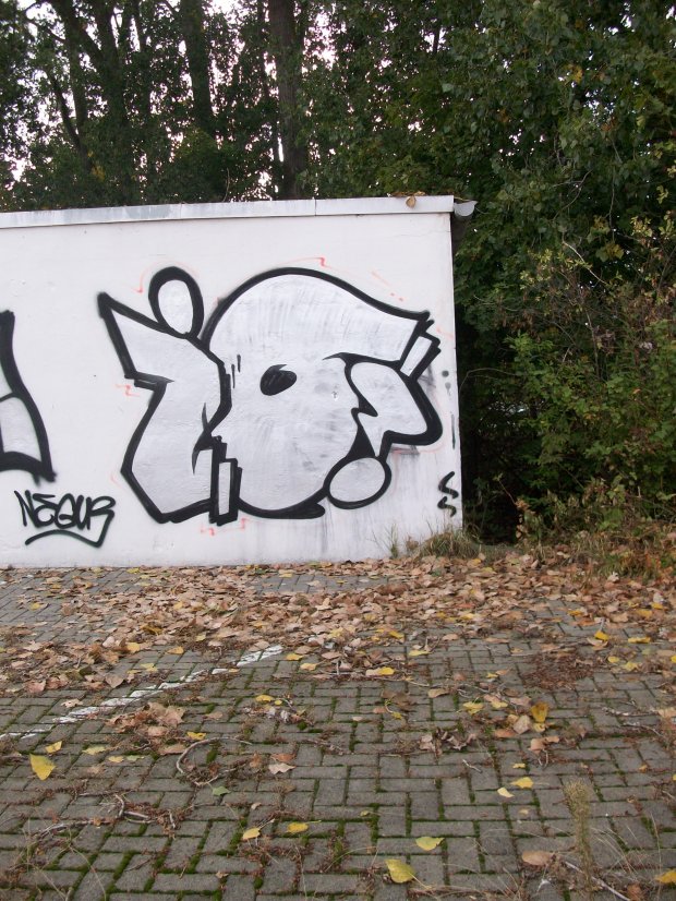 Graffiti Bombing - Photo by LosPicos - io