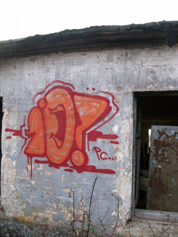 Graffiti Bombing - Photo by LosPicos - io