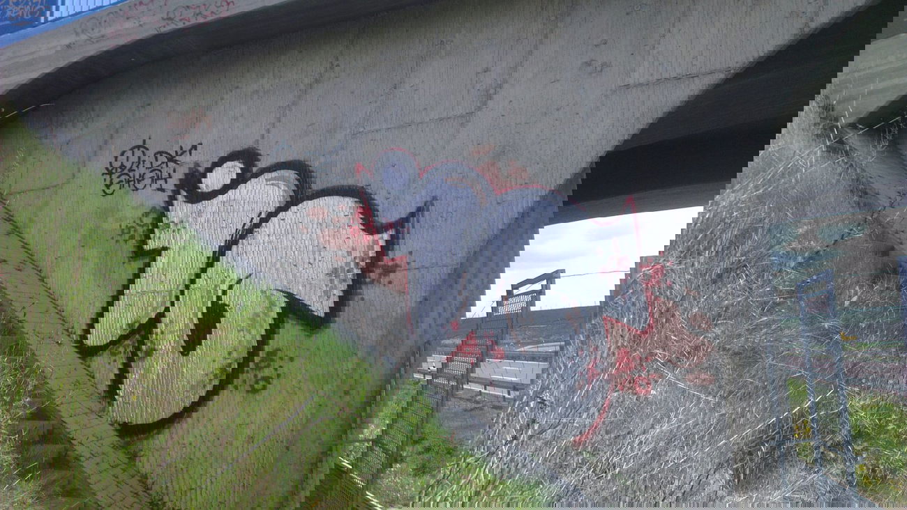 Graffiti Bombing - Photo by LosPicos - io