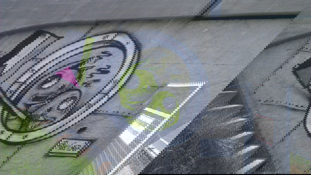 Graffiti Bombing - Photo by LosPicos - io