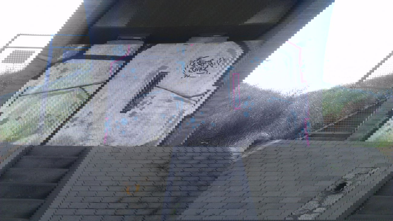 Graffiti Bombing - Photo by LosPicos - io