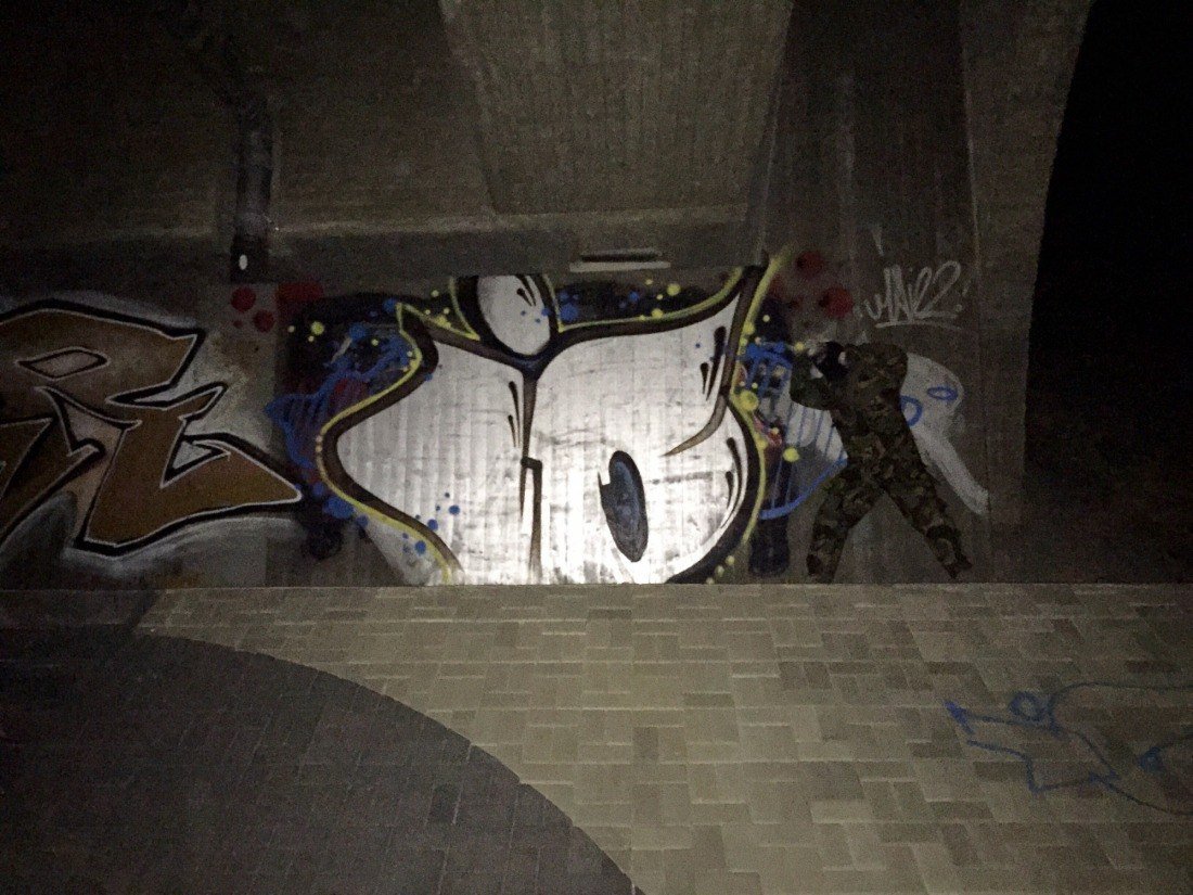 Graffiti Bombing - Photo by LosPicos - IO (2015)