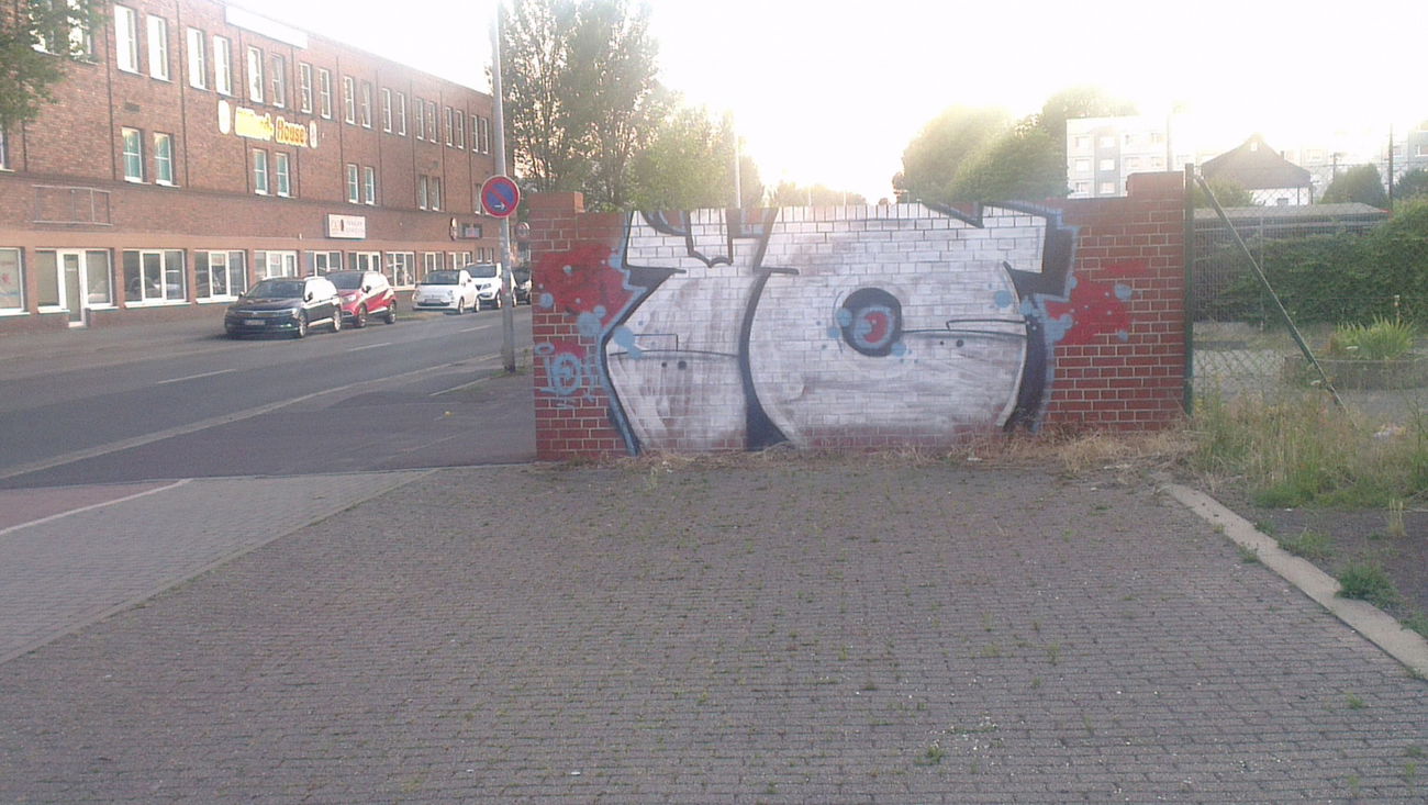 Graffiti Bombing - Photo by LosPicos - io