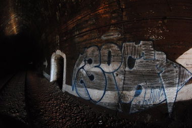 Graffiti Bombing - Photo by LouieVuitton - Bis, louie, louis