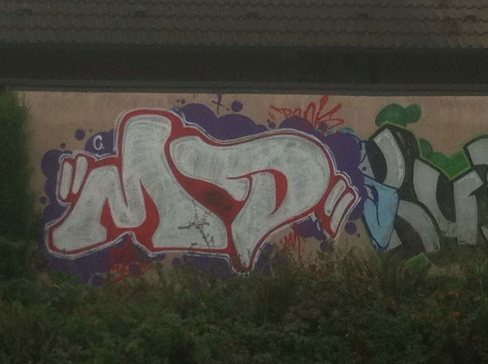 Graffiti Bombing - Photo by Love - MD