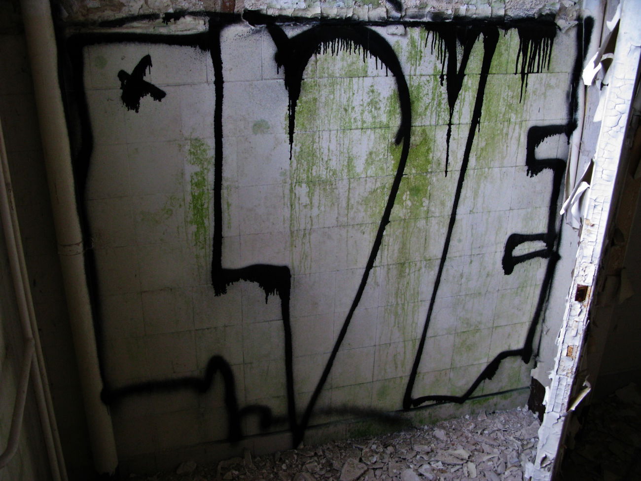 Graffiti Wall - Photo by Love80