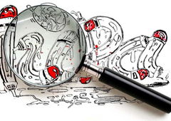 Photo #9843 by dirtistajl