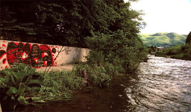 Graffiti Bombing - Photo by LupaOne - LUPA (2014)