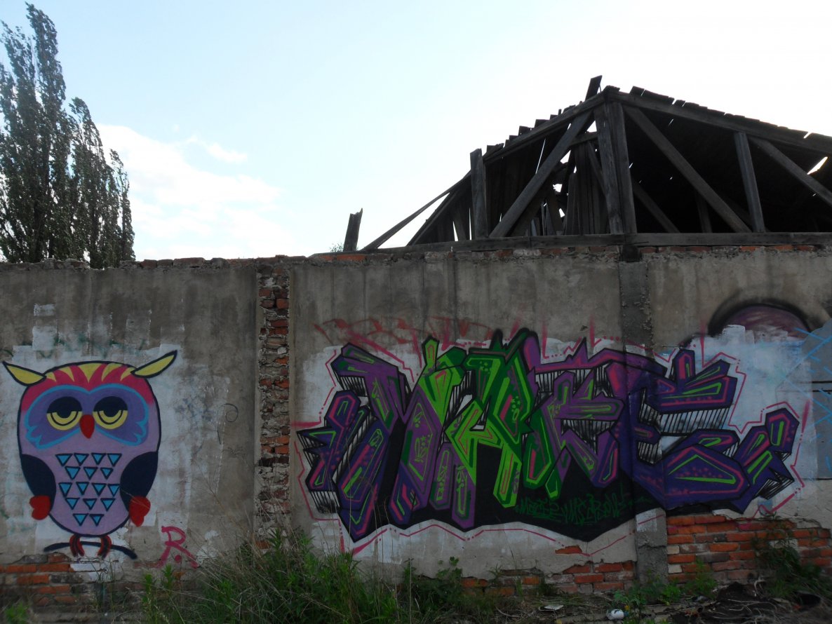 Graffiti Wall - Photo by MACE - mace, rose, kotlina (2012)