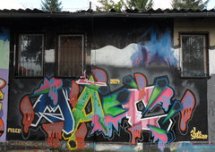 Photo #111739 by webster