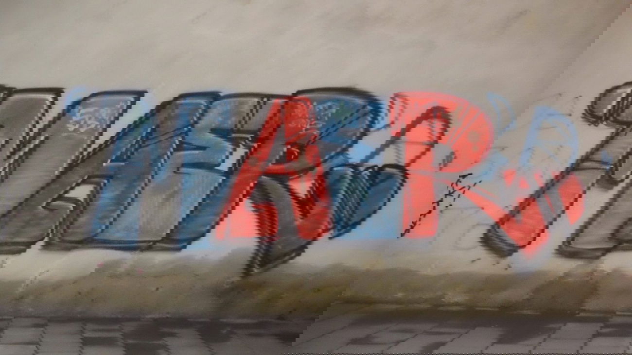 Graffiti Bombing in Novi Sad - Photo by MAERONE (2013)