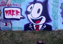 Photo #87888 by FLYONE