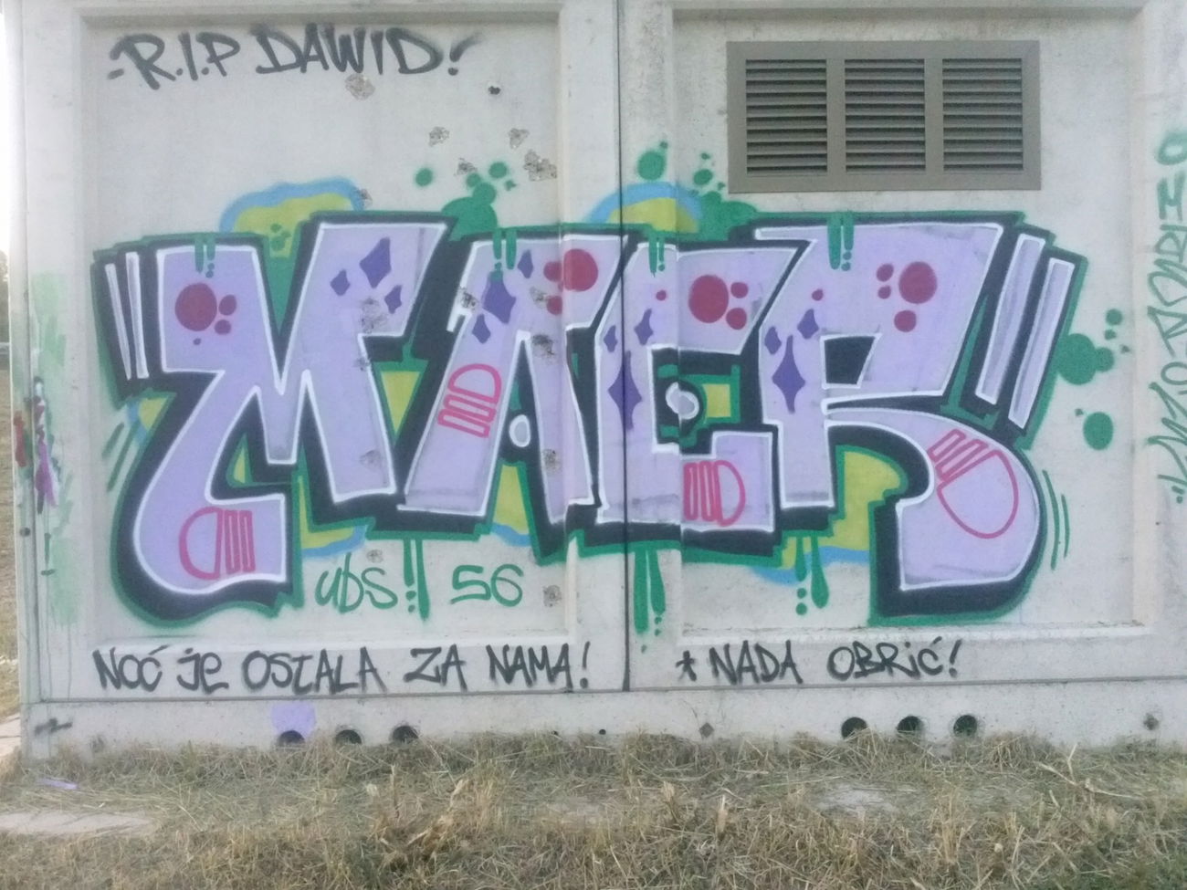 Graffiti Bombing - Photo by MAERONE (2015)