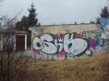 Graffiti Wall - Photo by MAJSTER - CSHK, HSPT (2014)