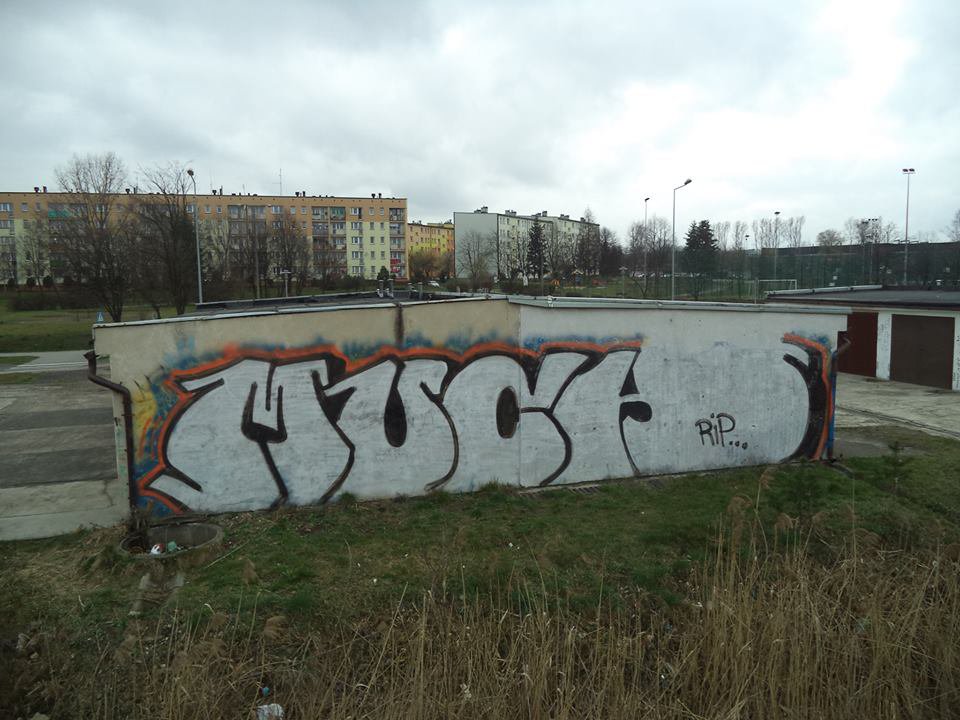 Graffiti Wall - Photo by MAJSTER - MUCH, ILE, ROKIE (2014)