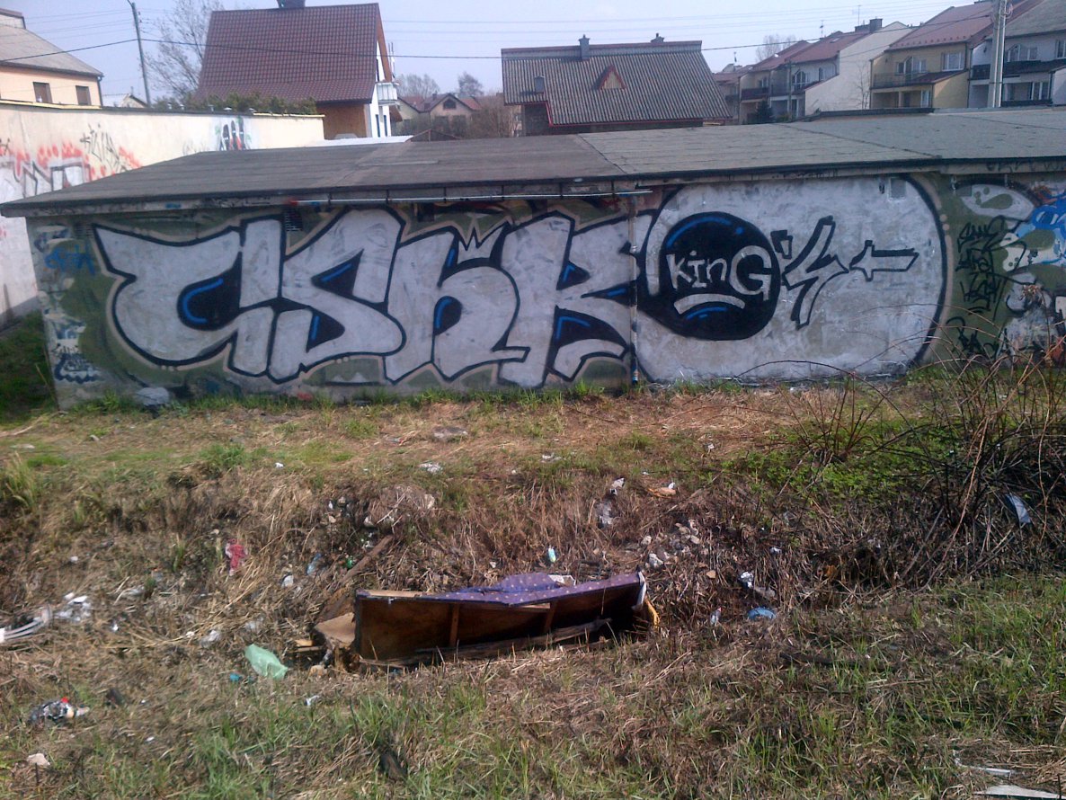Graffiti Bombing - Photo by MAJSTER - CSHK (2014)