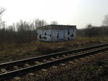 Graffiti Bombing - Photo by MAJSTER - CSHK (2014)
