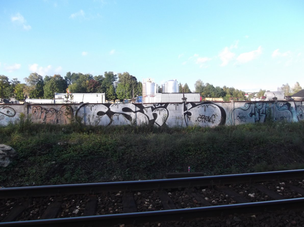 Graffiti Bombing - Photo by MAJSTER - CSHK (2014)