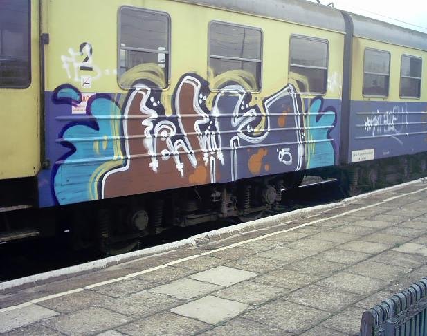 Graffiti Train - Photo by MAJSTER - FBSHK, HOSPIT, BILE (2005)