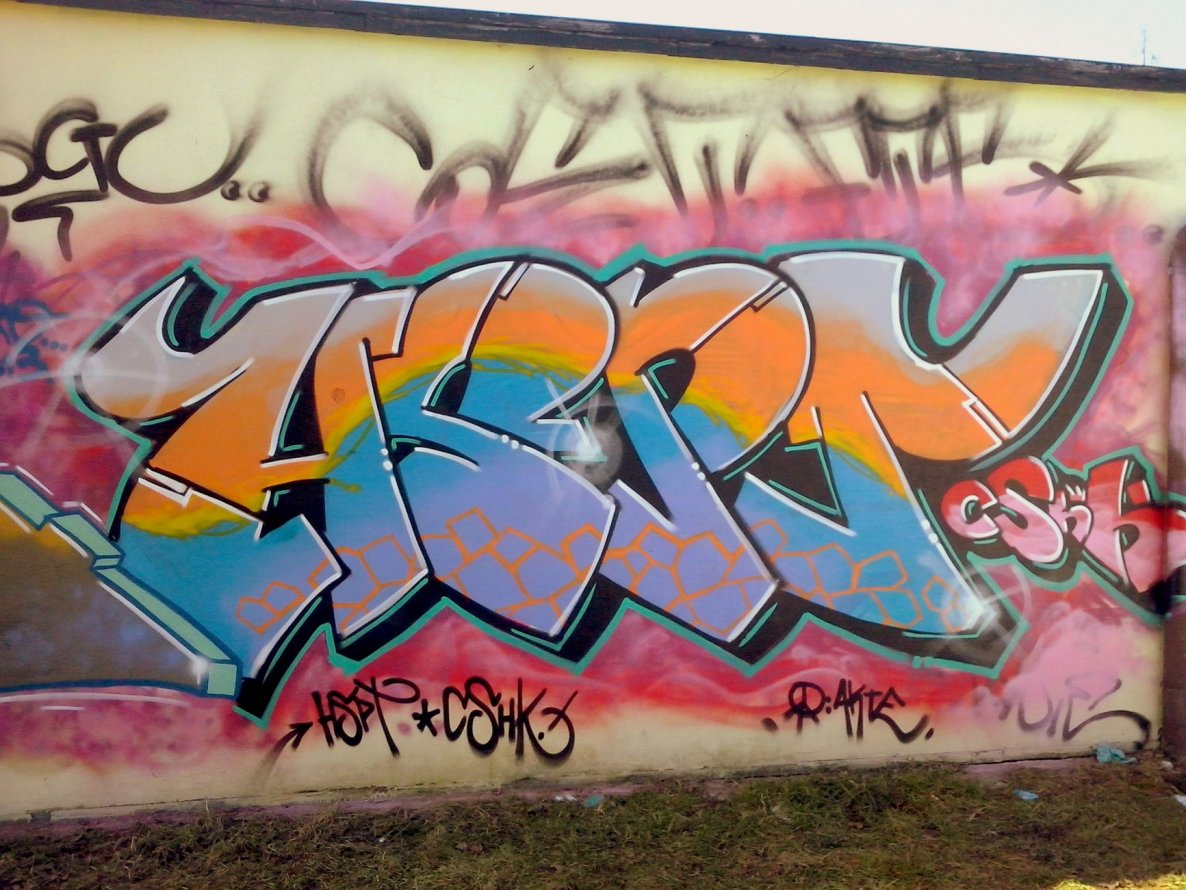 Graffiti Wall - Photo by MAJSTER - HSPT, CSHK (2015)