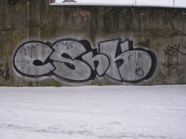 Graffiti Bombing - Photo by MAJSTER - CSHK, HSPT (2015)