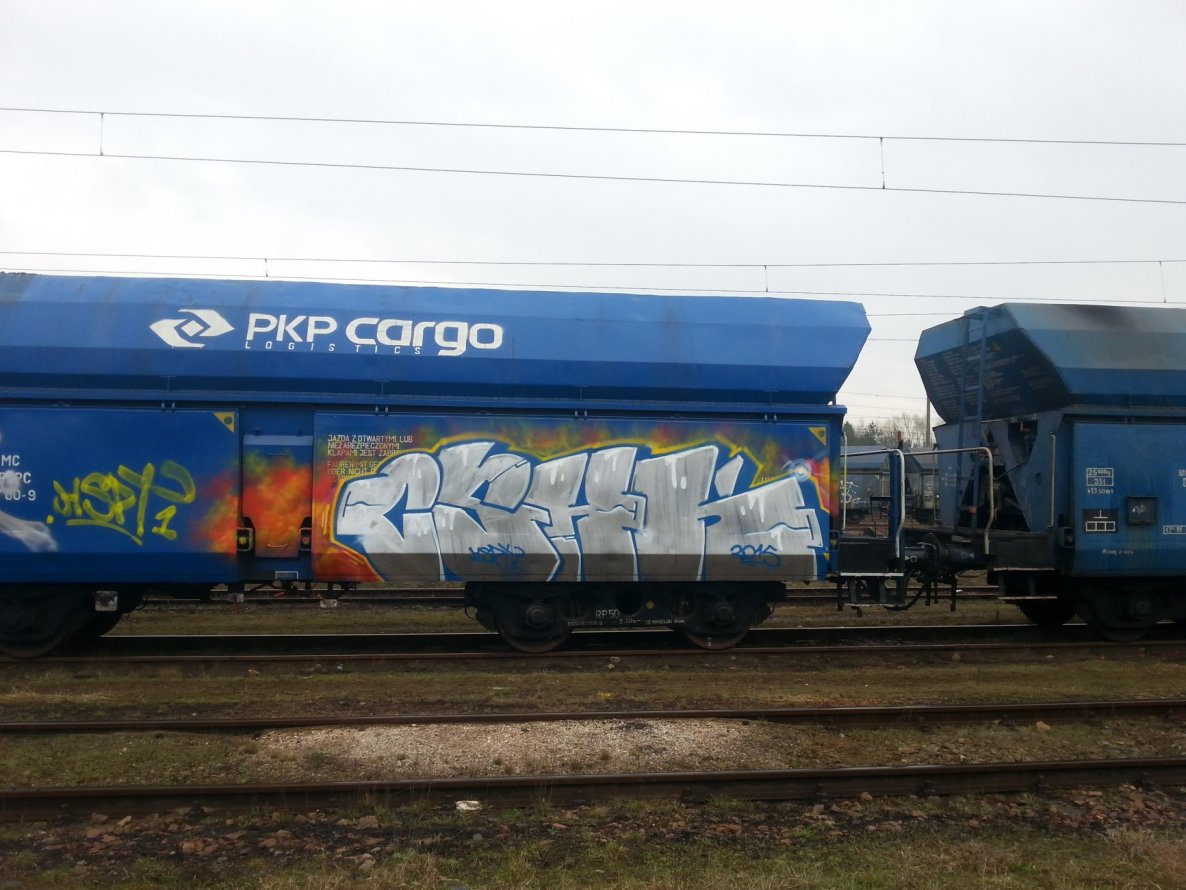 Graffiti Train - Photo by MAJSTER - CSHK, HSPT (2015)