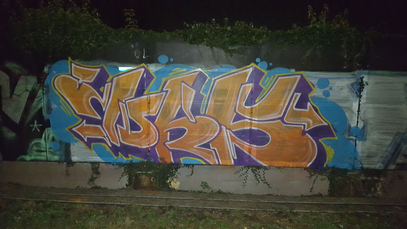 Graffiti Bombing - Photo by MAJSTER