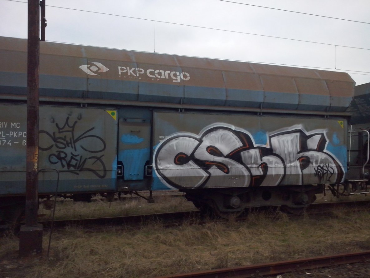 Graffiti Train - Photo by MAJSTER - CSHK, HSPT (2015)