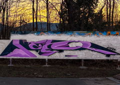 Photo #249388 by TheWallHunter