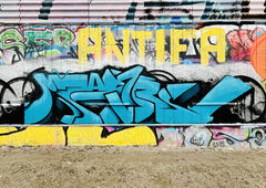 Photo #249392 by TheWallHunter