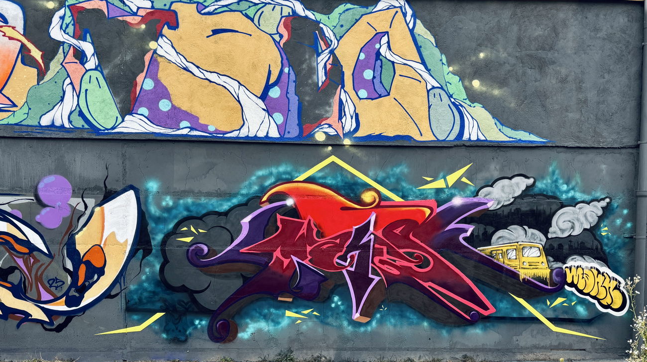 Graffiti Wall in Erfurt - Photo by MALER - maler, halloffame, erfurt (2025)