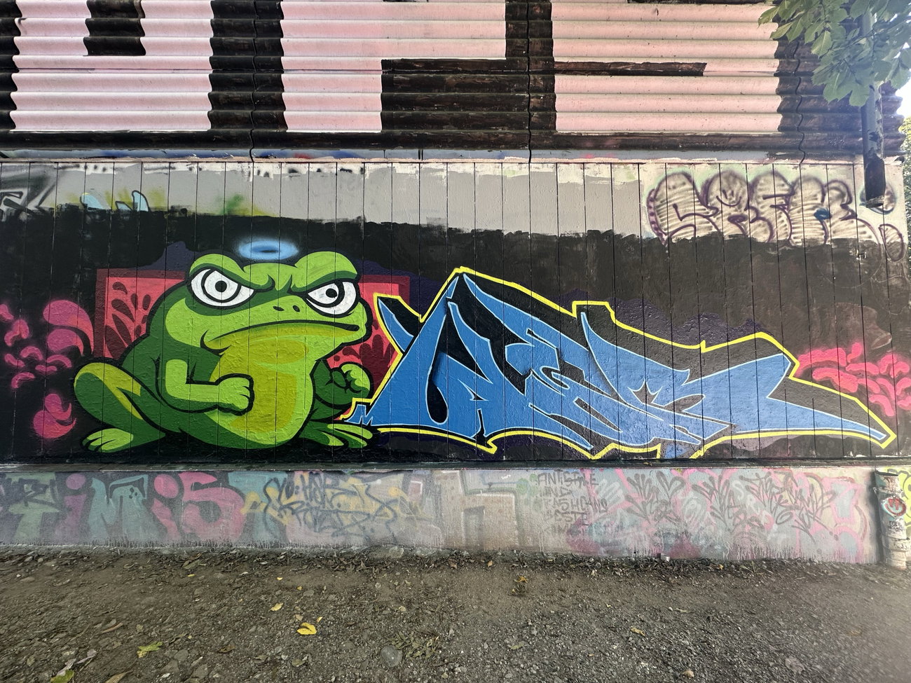 Graffiti Wall in Rudolstadt - Photo by MALER - frosch, fast, hall (2025)