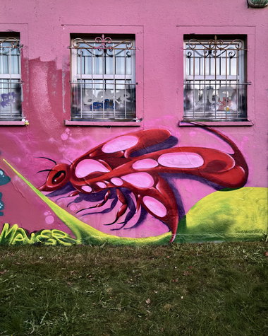 Graffiti Wall in Saalfeld/saale - Photo by MALER - maler, wasp, wespe (2026)